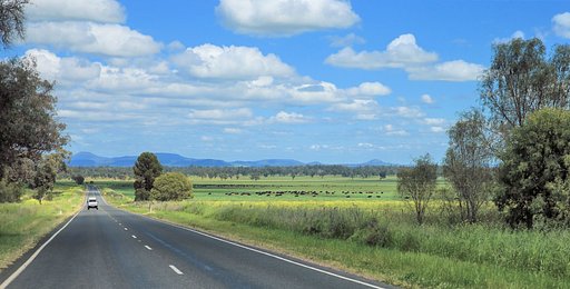 旅先にて（その１）Aussie Beefの国