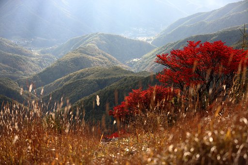 駆け下るＳｅａｓｏｎ