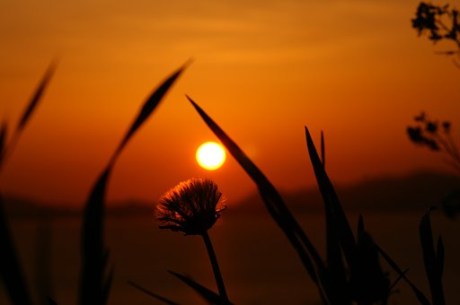 夕日　AF85