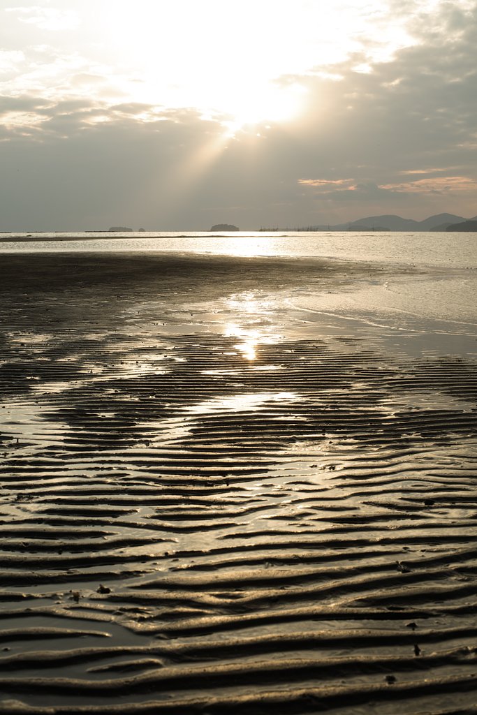 海光る