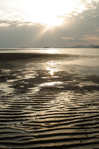海光る