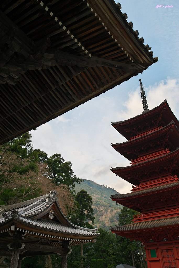 七屋根