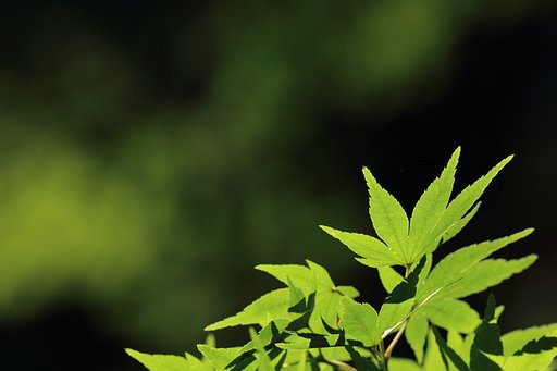 【命】10月もあと2時間少々