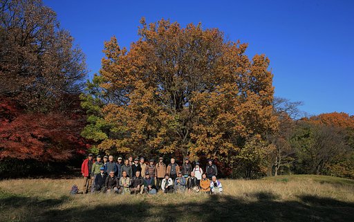 平均年齢74.5歳