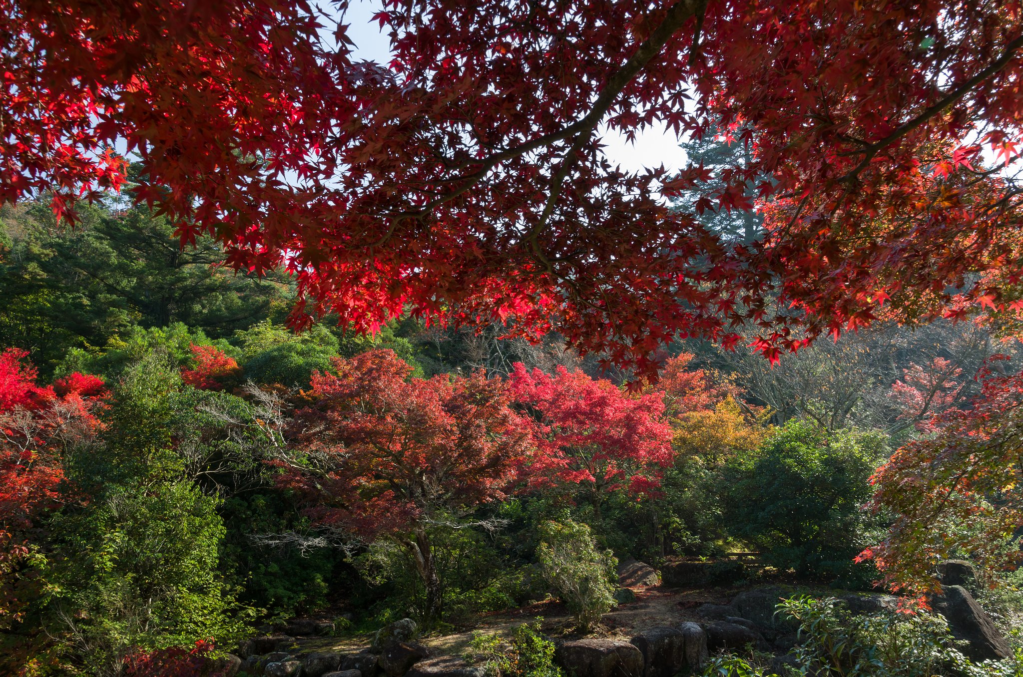 SIGMA 17-50mm F2.8 EX DC HSM 