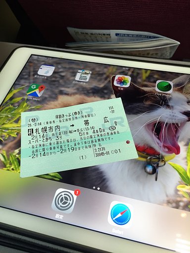 出張、終わりました〜