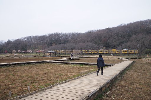 緩やかな春