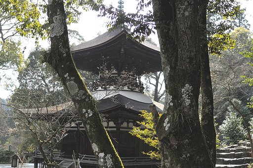 梅の季節