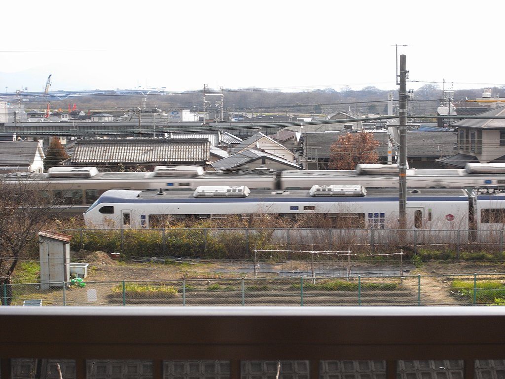 ファインダー付買いました。