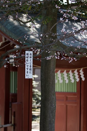 EF70-200mm F4 L IS
