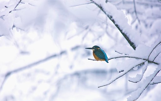 12月28日の写真