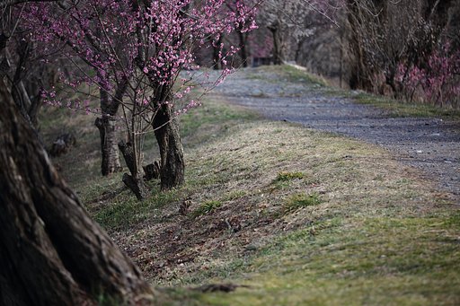 季節の通り道