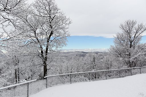 今朝の雪景色