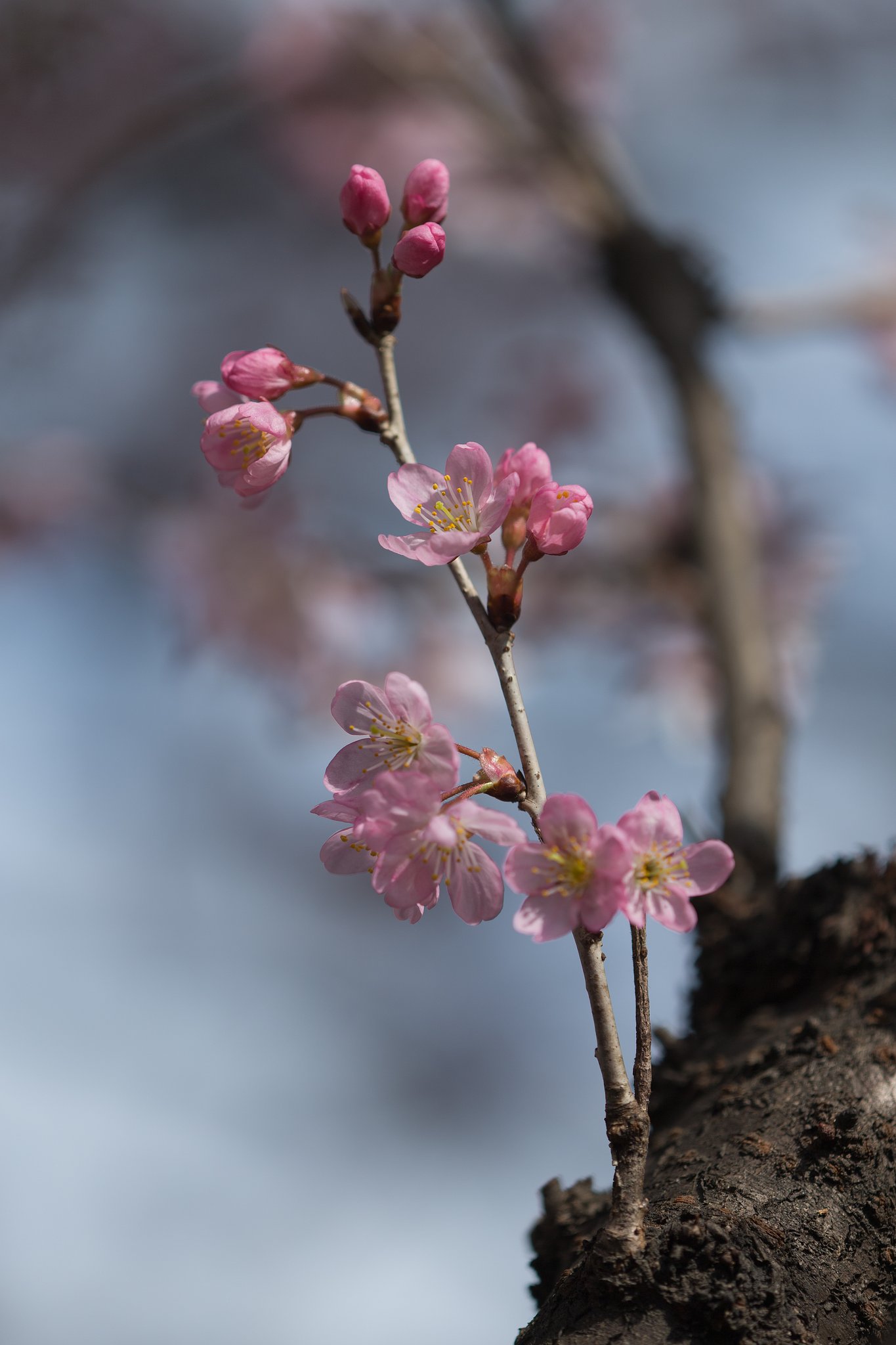 EF180mm F3.5 L MACRO