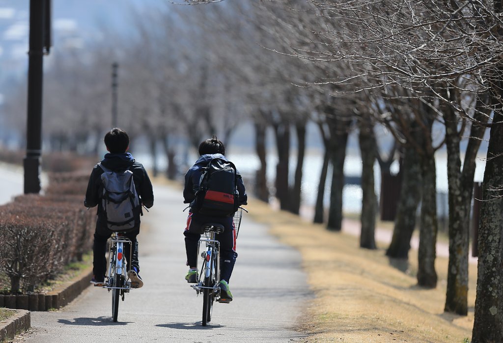 春の湖岸道路