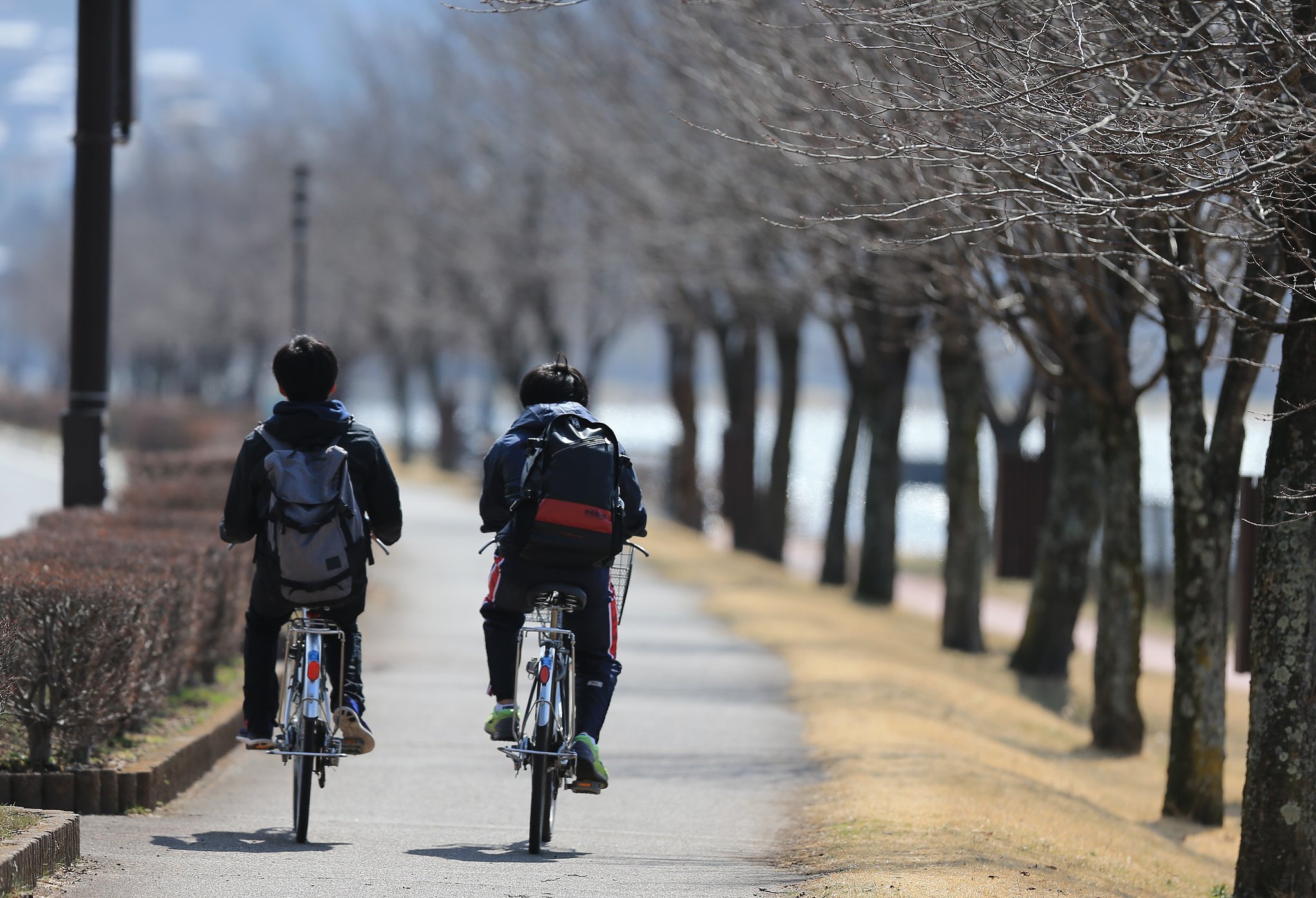春の湖岸道路