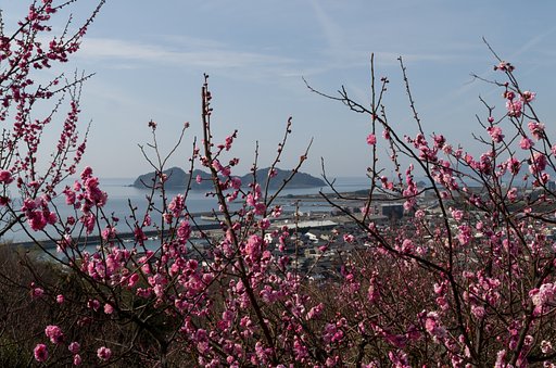 港