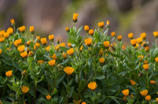 1月30日の写真