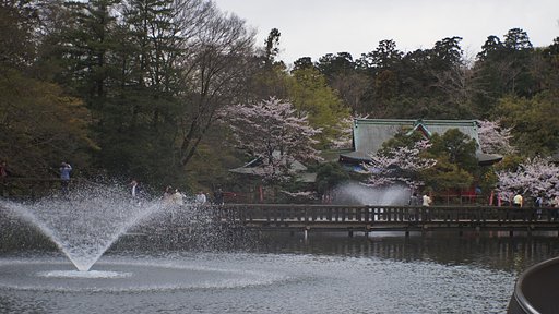 昼の井の頭公園