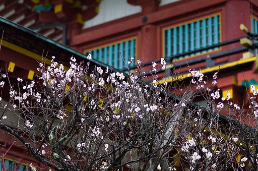 天満宮