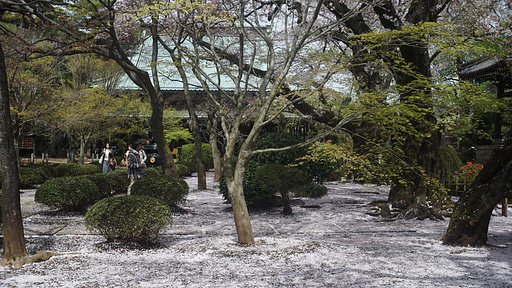 色は匂えへど