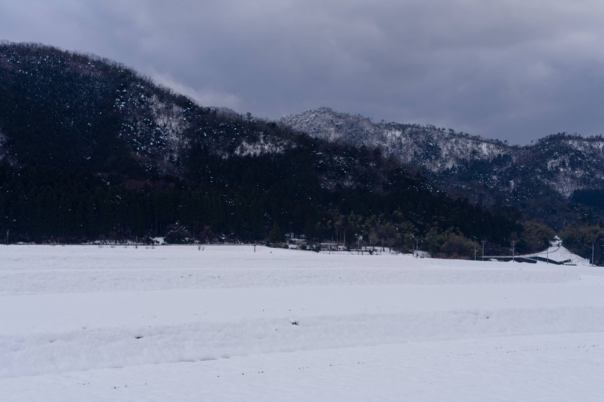 雪国。