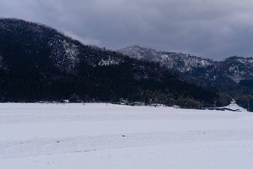 雪国。