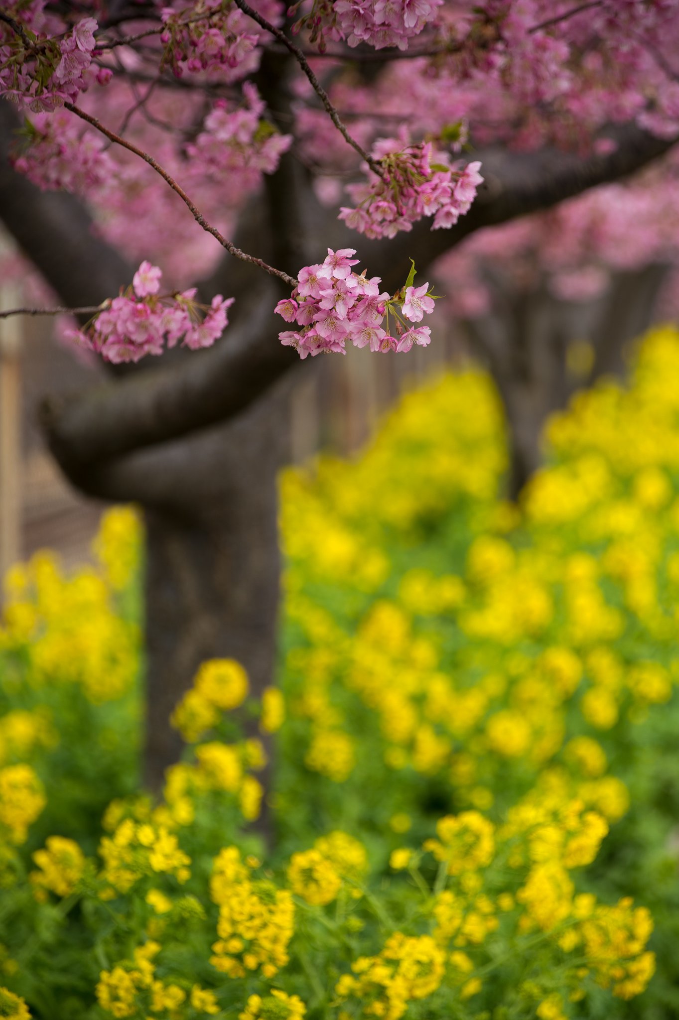TAMRON 28-300mm F3.5-6.3 VC