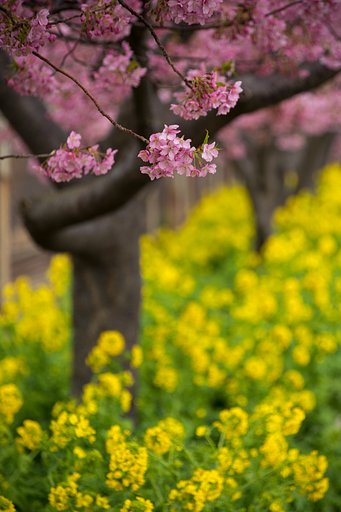TAMRON 28-300mm F3.5-6.3 VC