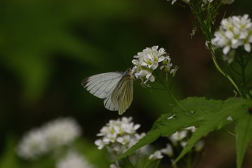 今に活かす