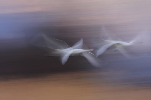 朝の隙間