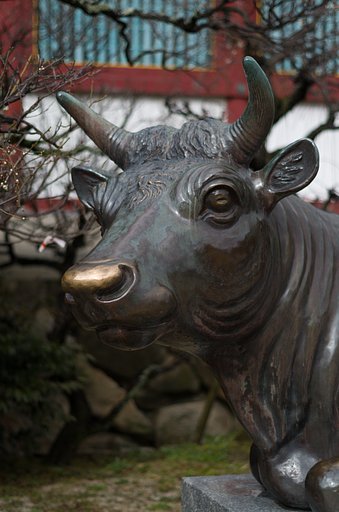 PENTAX-DA 50mmF1.8