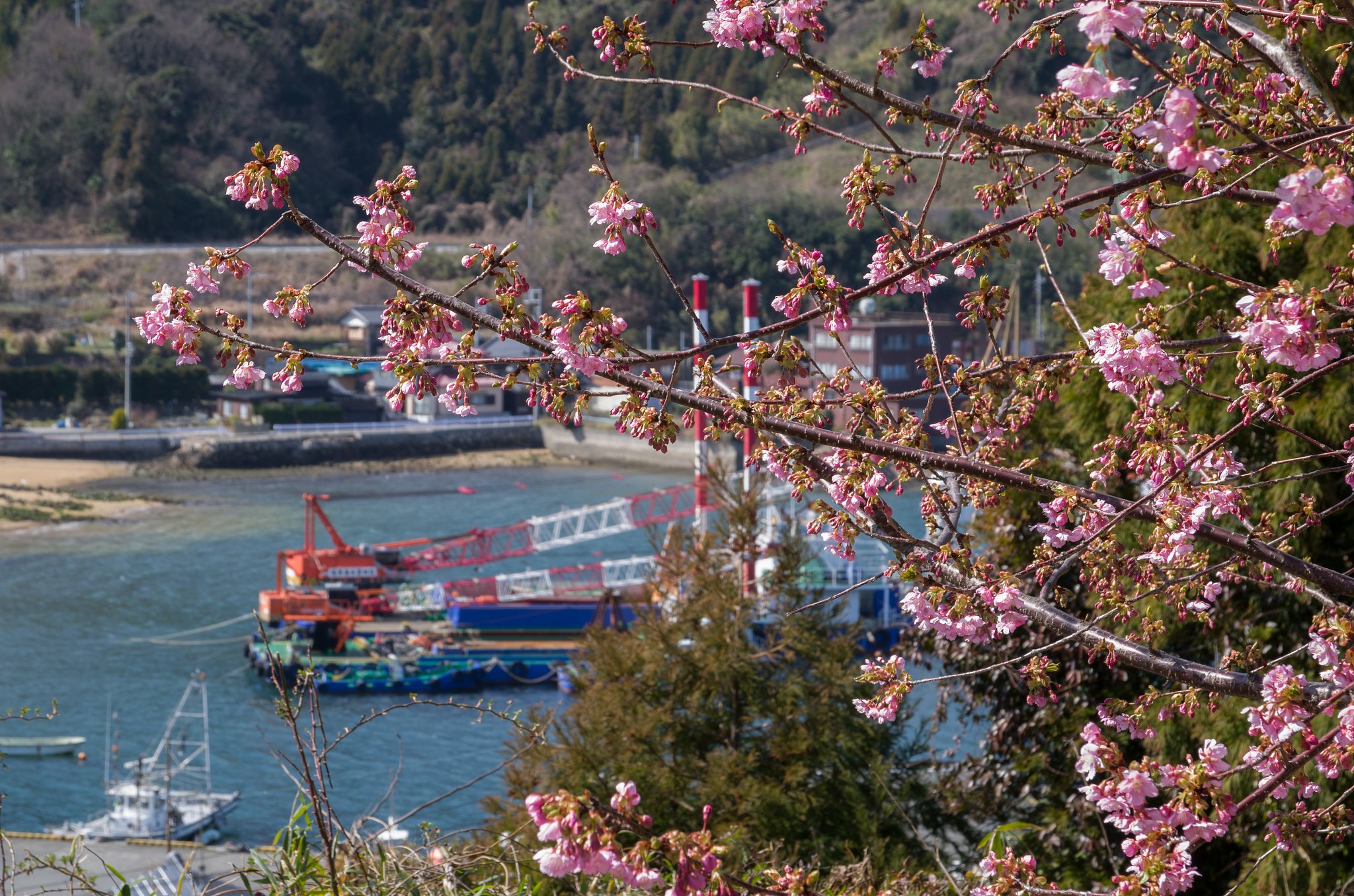 島の丘