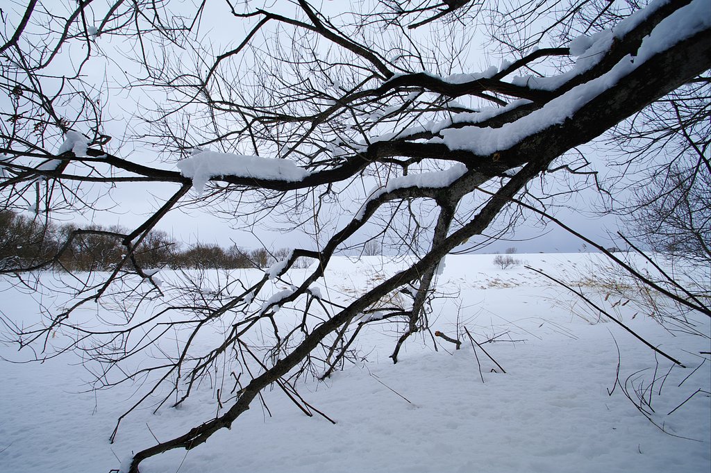 未だ雪の中