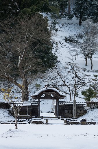 一乗谷朝倉氏遺跡