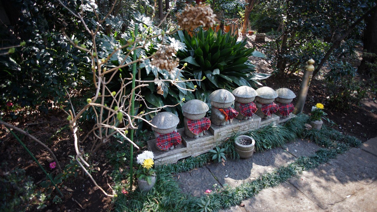 西福寺にて