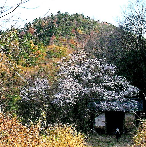 【古】　棒澤寺の山門