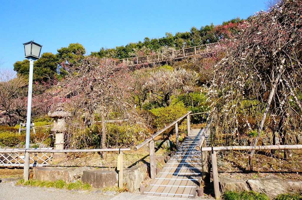 梅園－２