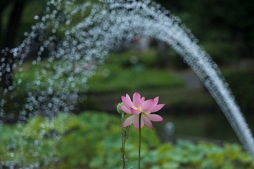 EF70-200mm F2.8 L