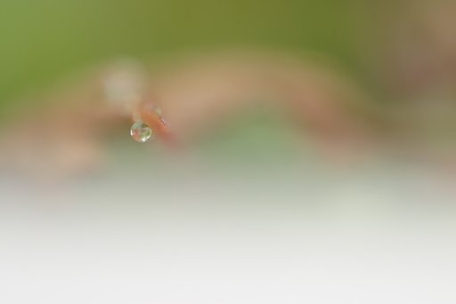 水滴