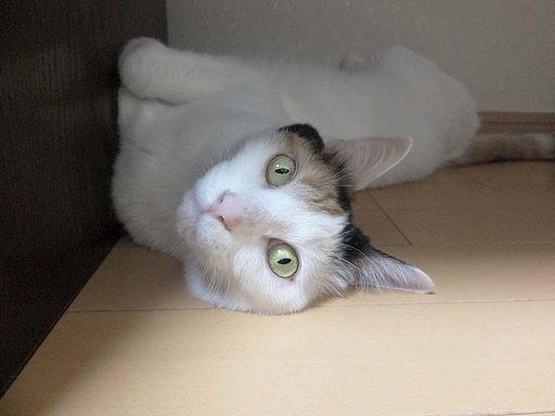 何か？