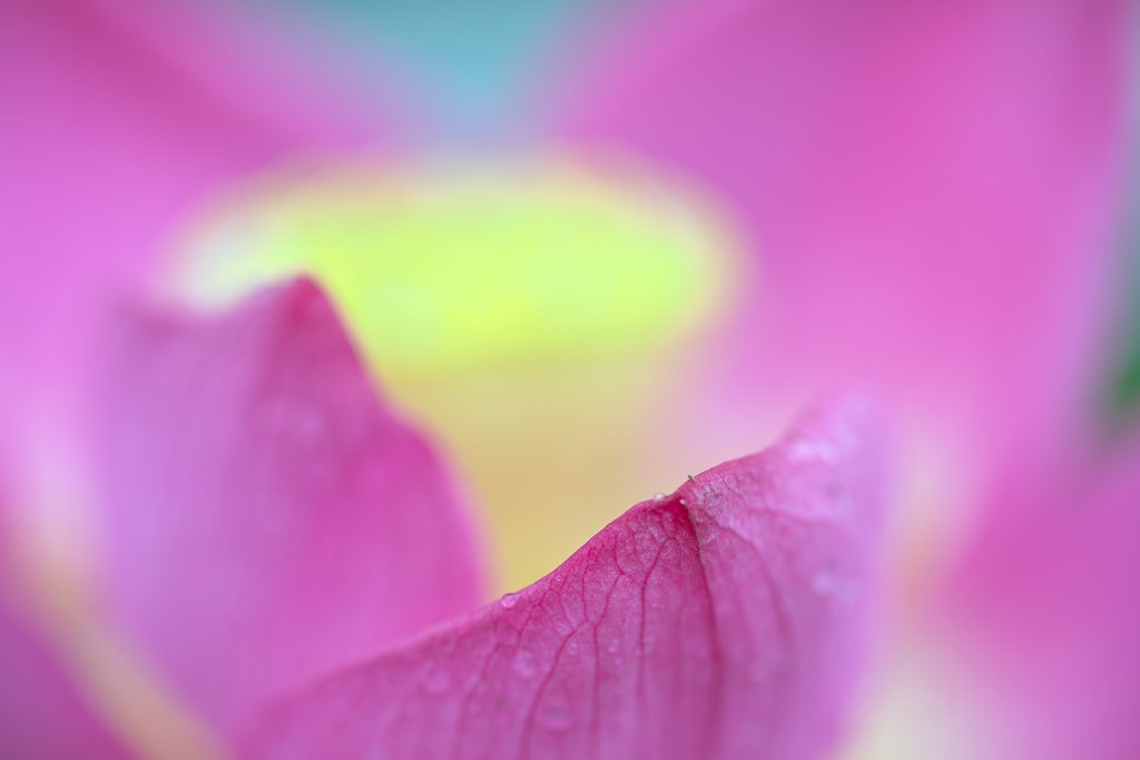 SP 90mm F/2.8 Di MACRO 1:1 VC USD
