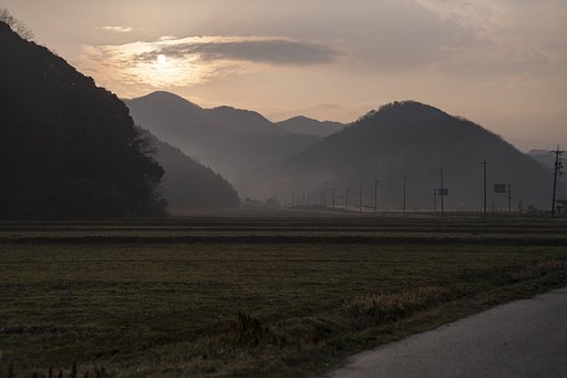 モヤットした太陽が・・。