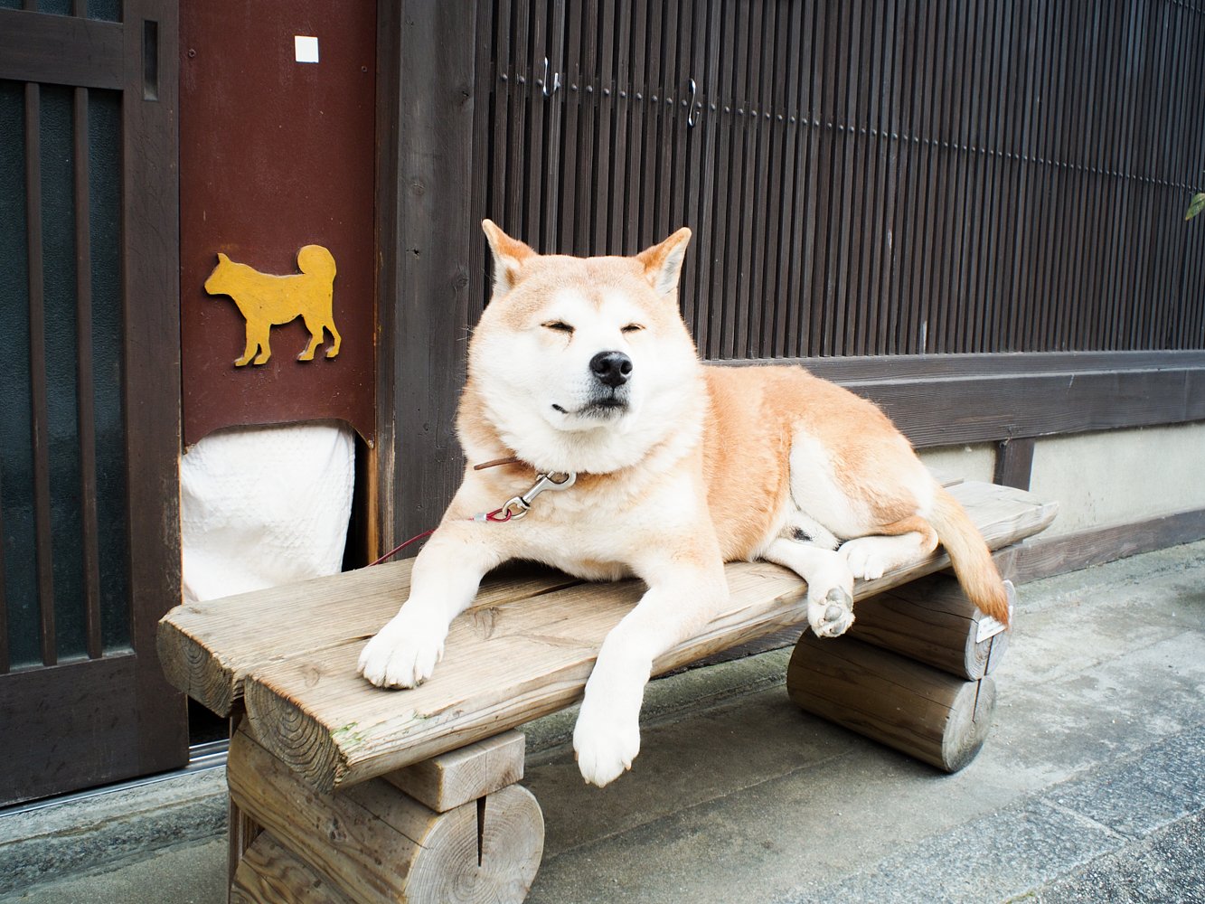 たまちゃん