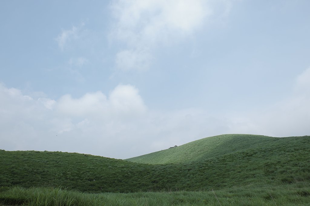 7月の丘