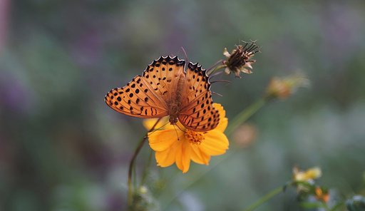 羽根木公園にて