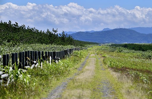 庄内砂丘の道