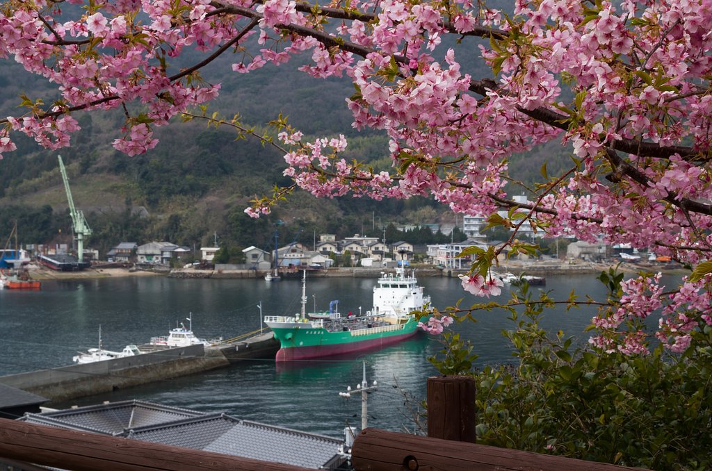 岸壁