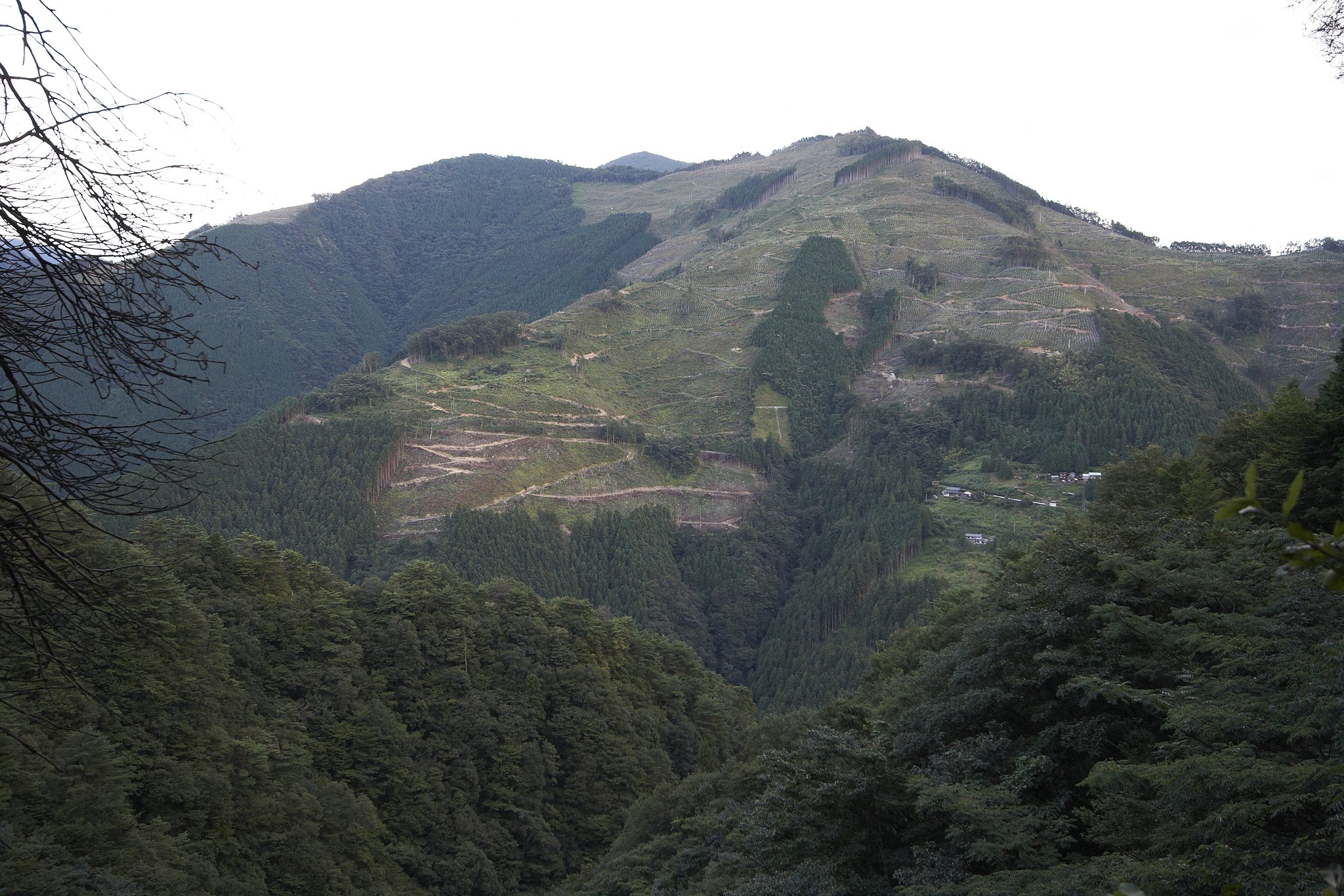こういう山も