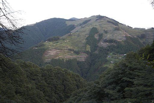 こういう山も